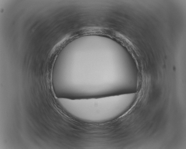 X0000080121403200612080919