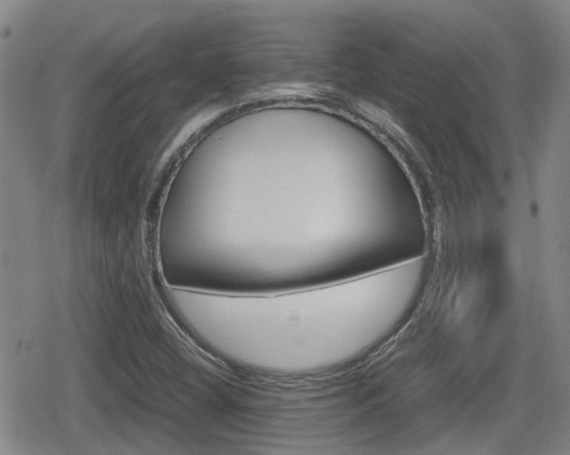 X0000080121404200612080919