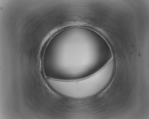 X0000080121414200612080919