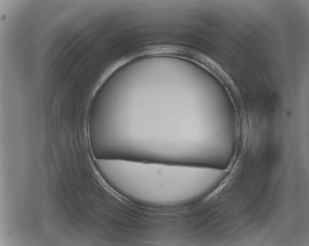 X0000080121417200612080919