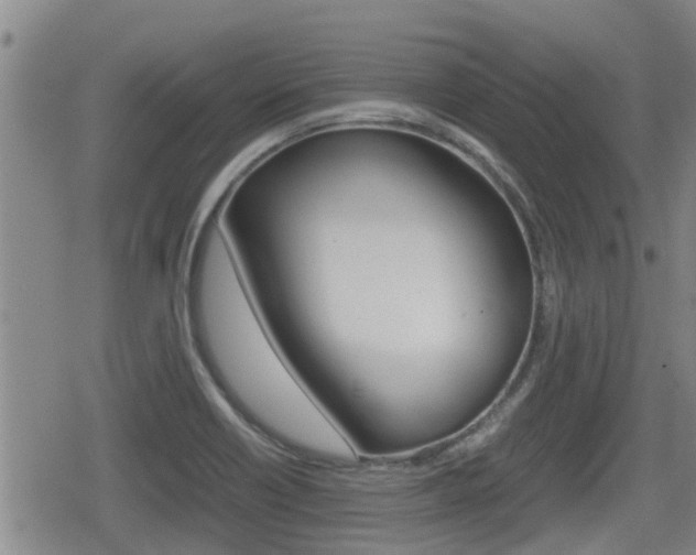 X0000080121418200612080919