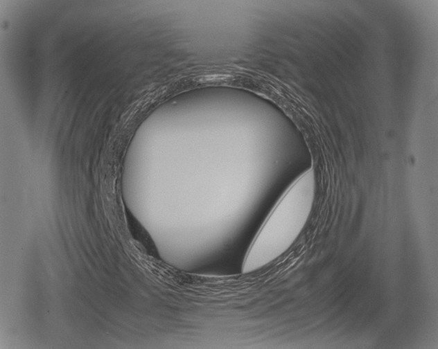 X0000080121441200612080919