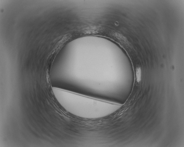 X0000080121444200612080919