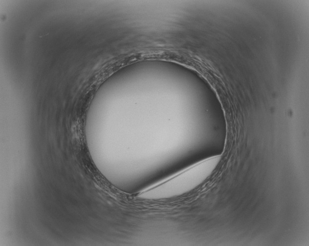 X0000080121445200612080919