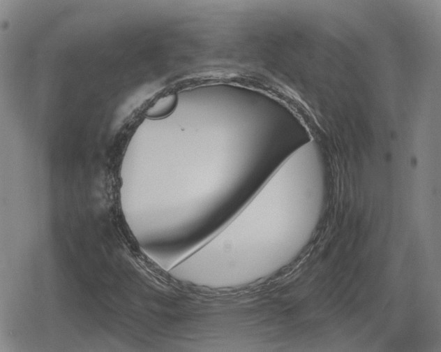 X0000080121448200612080919