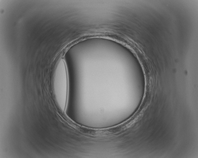 X0000080121449200612080919