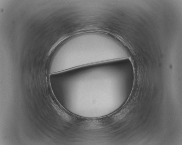 X0000080121450200612080919