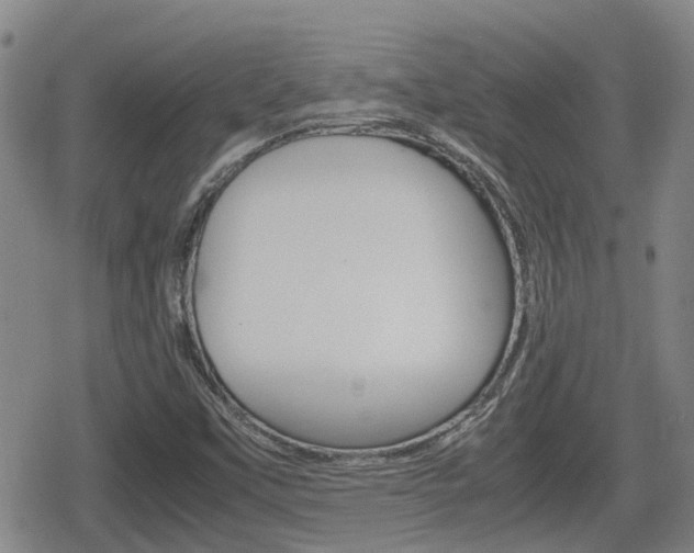 X0000080121451200612080919