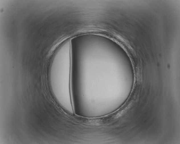 X0000080121453200612080919