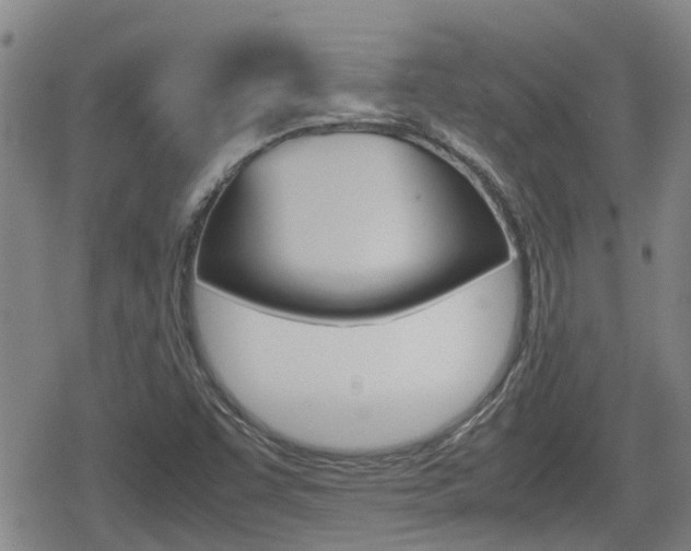 X0000080121455200612080919