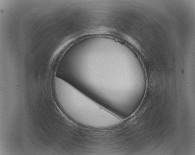 X0000080121456200612080919