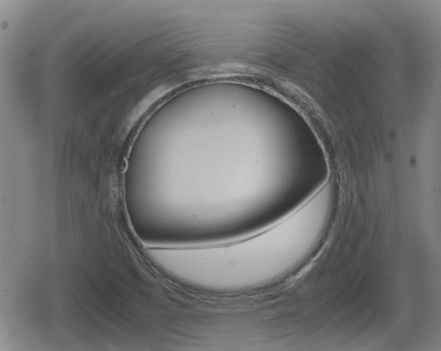 X0000080121457200612080919
