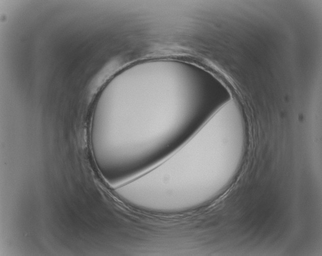 X0000080121459200612080919