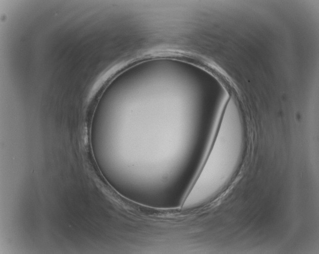 X0000080121461200612080919