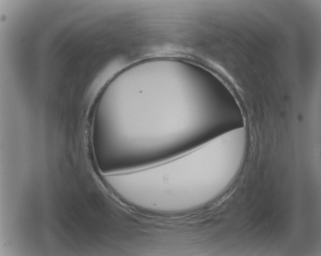 X0000080121463200612080919