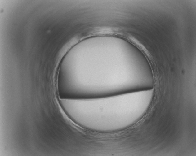X0000080121475200612080918