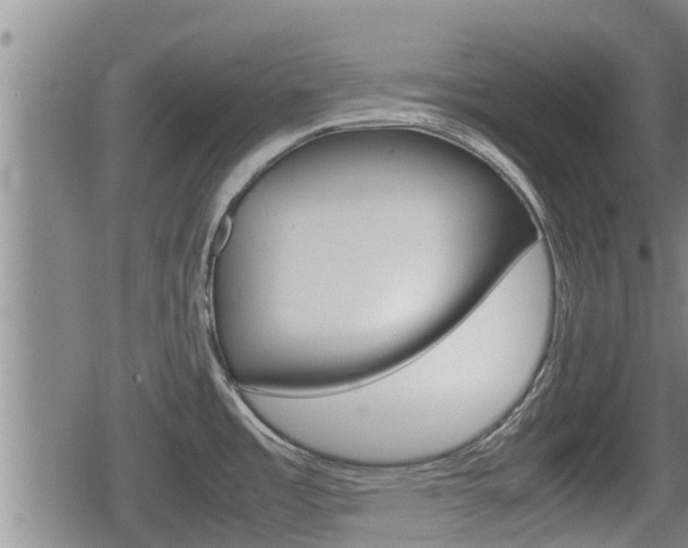 X0000080121485200612080918