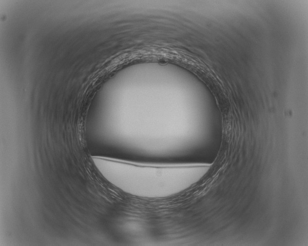 X0000080121490200612080918