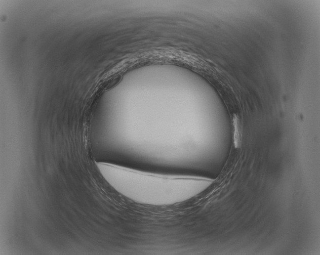 X0000080121491200612080918