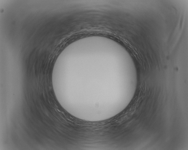 X0000080121492200612080918