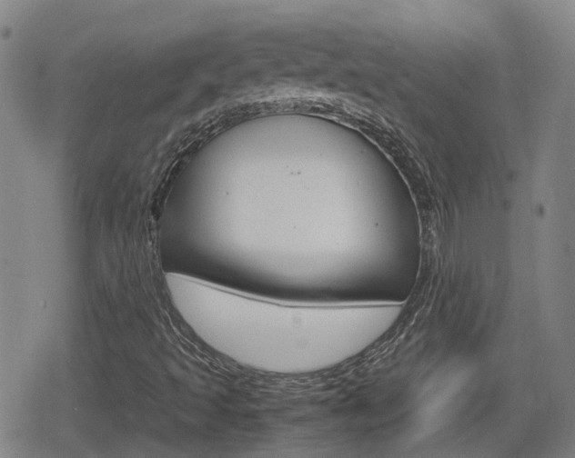 X0000080121493200612080918