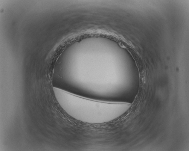 X0000080121495200612080918