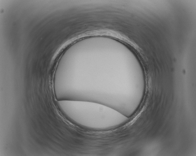 X0000080121498200612080918