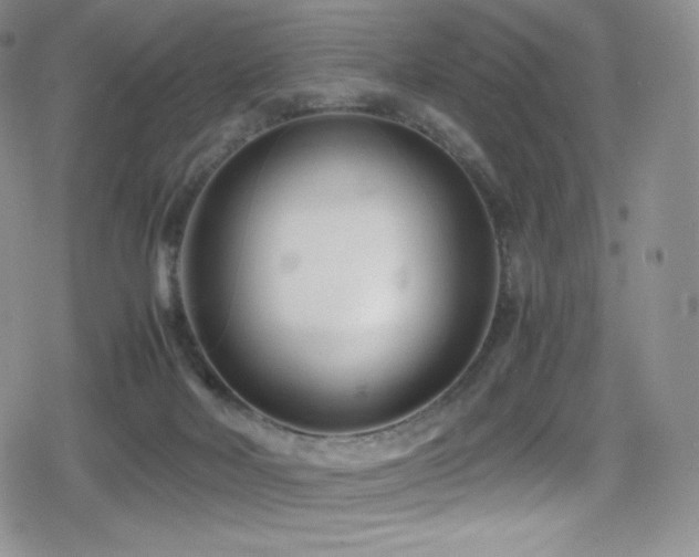 X0000080120026200612081303