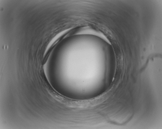 X0000080120033200612081303