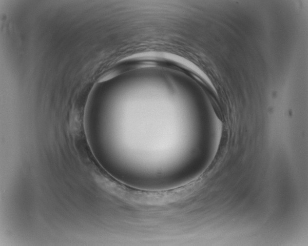 X0000080120037200612081303