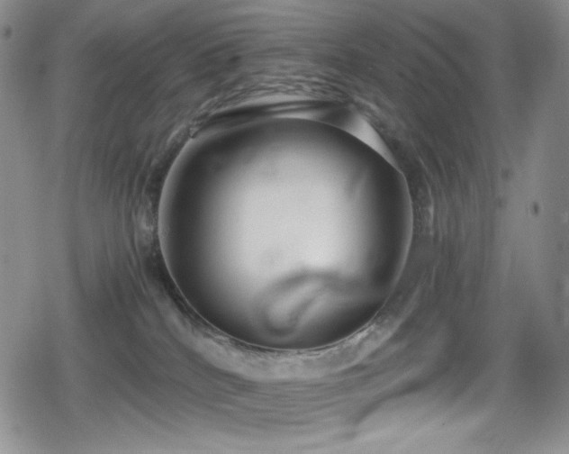 X0000080120040200612081303