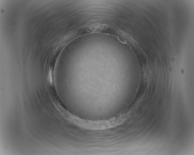 X0000080120042200612081303