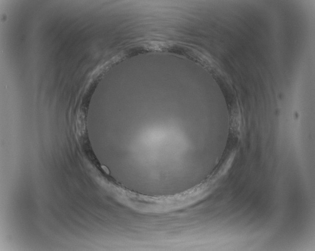 X0000080120043200612081303