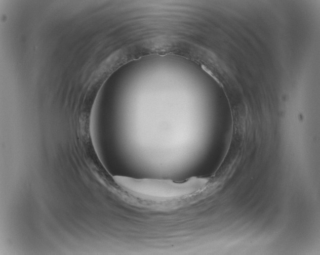 X0000080120044200612081303