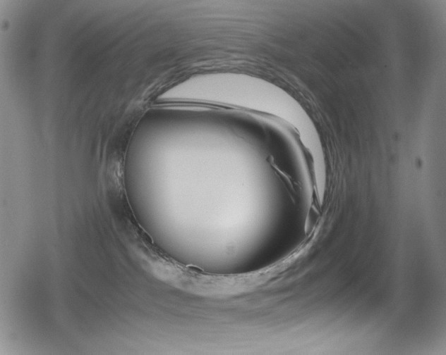 X0000080120045200612081303