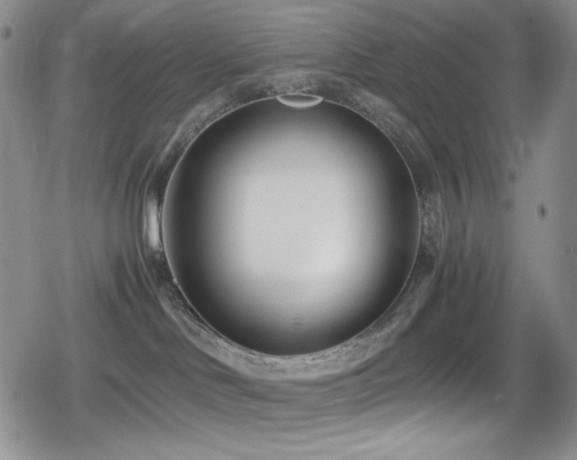 X0000080120046200612081303