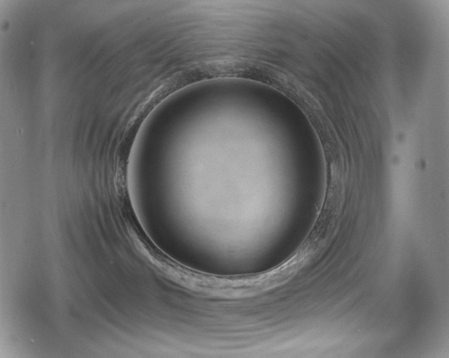 X0000080120048200612081303