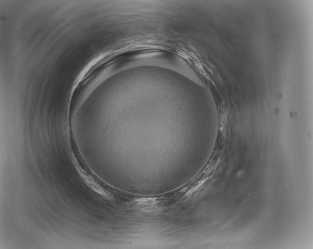 X0000080120052200612081302