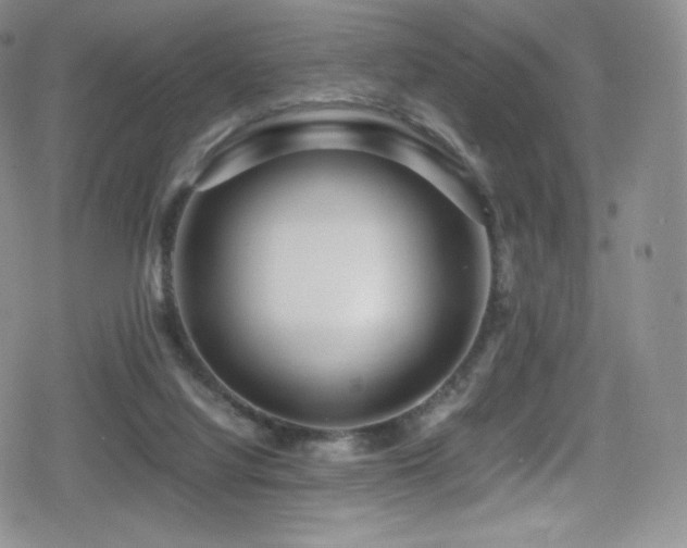 X0000080120068200612081302