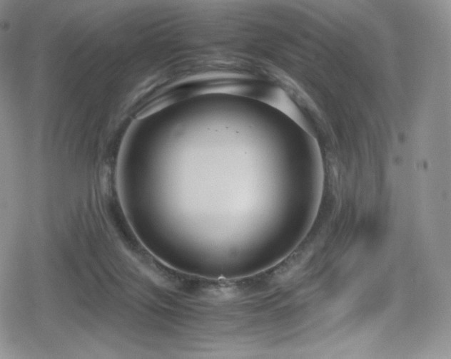 X0000080120071200612081302