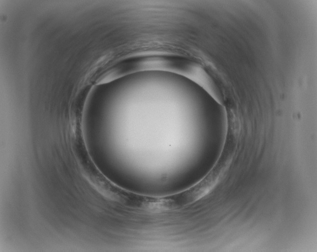 X0000080120072200612081302