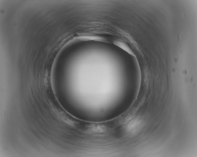 X0000080120073200612081302