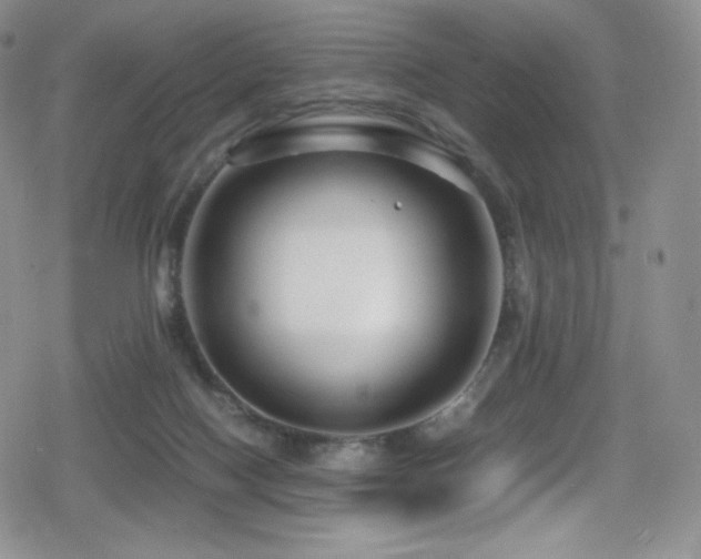 X0000080120074200612081302