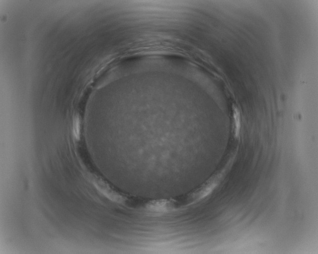 X0000080120076200612081302