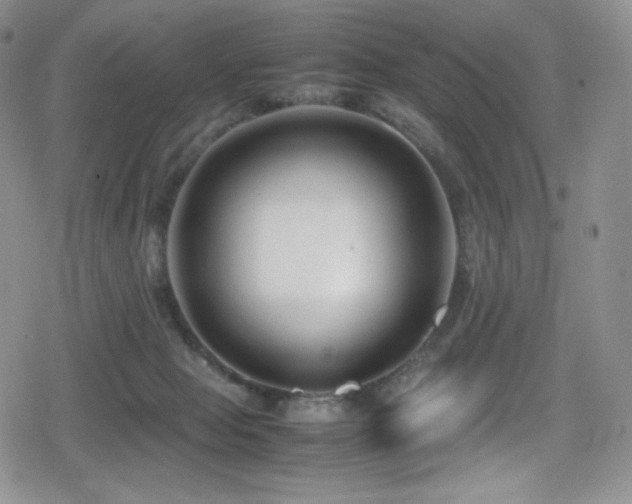 X0000080120077200612081302