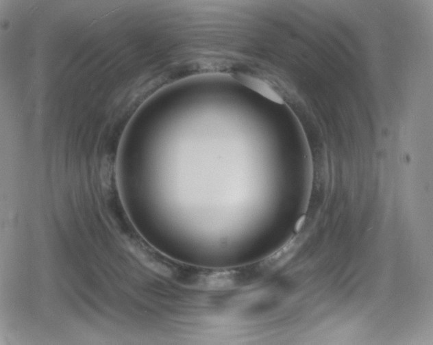 X0000080120078200612081302
