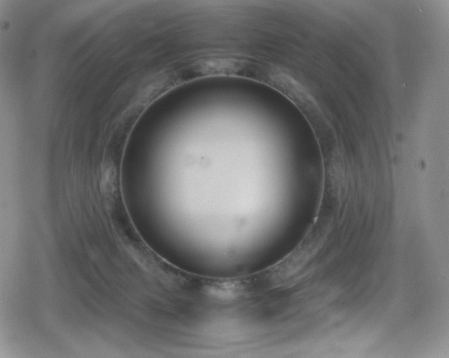 X0000080120079200612081302