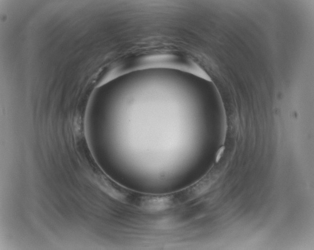 X0000080120081200612081302