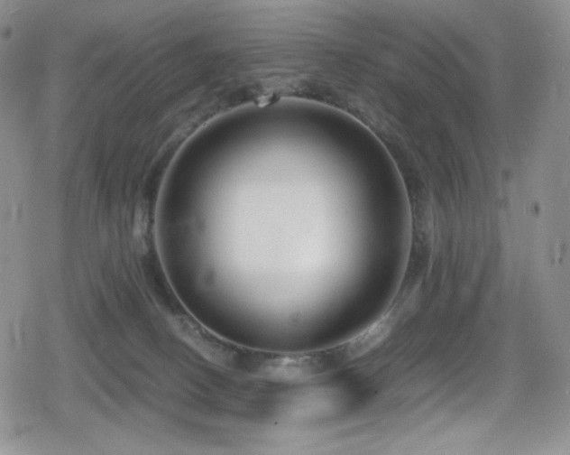 X0000080120082200612081302