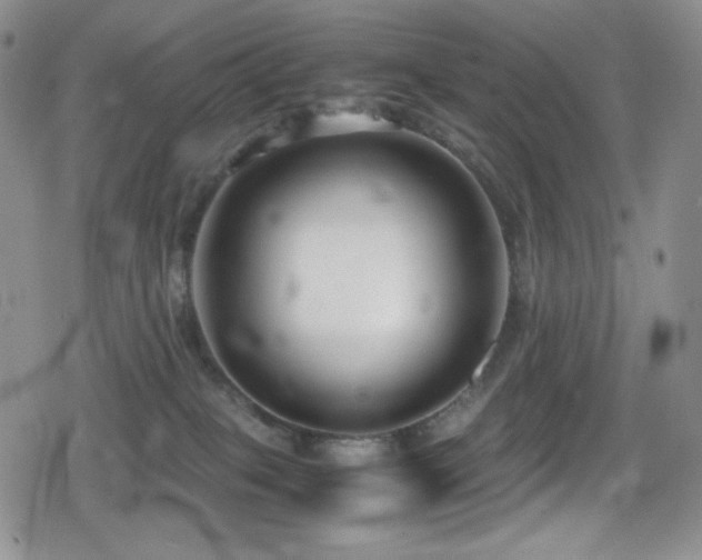 X0000080120085200612081303